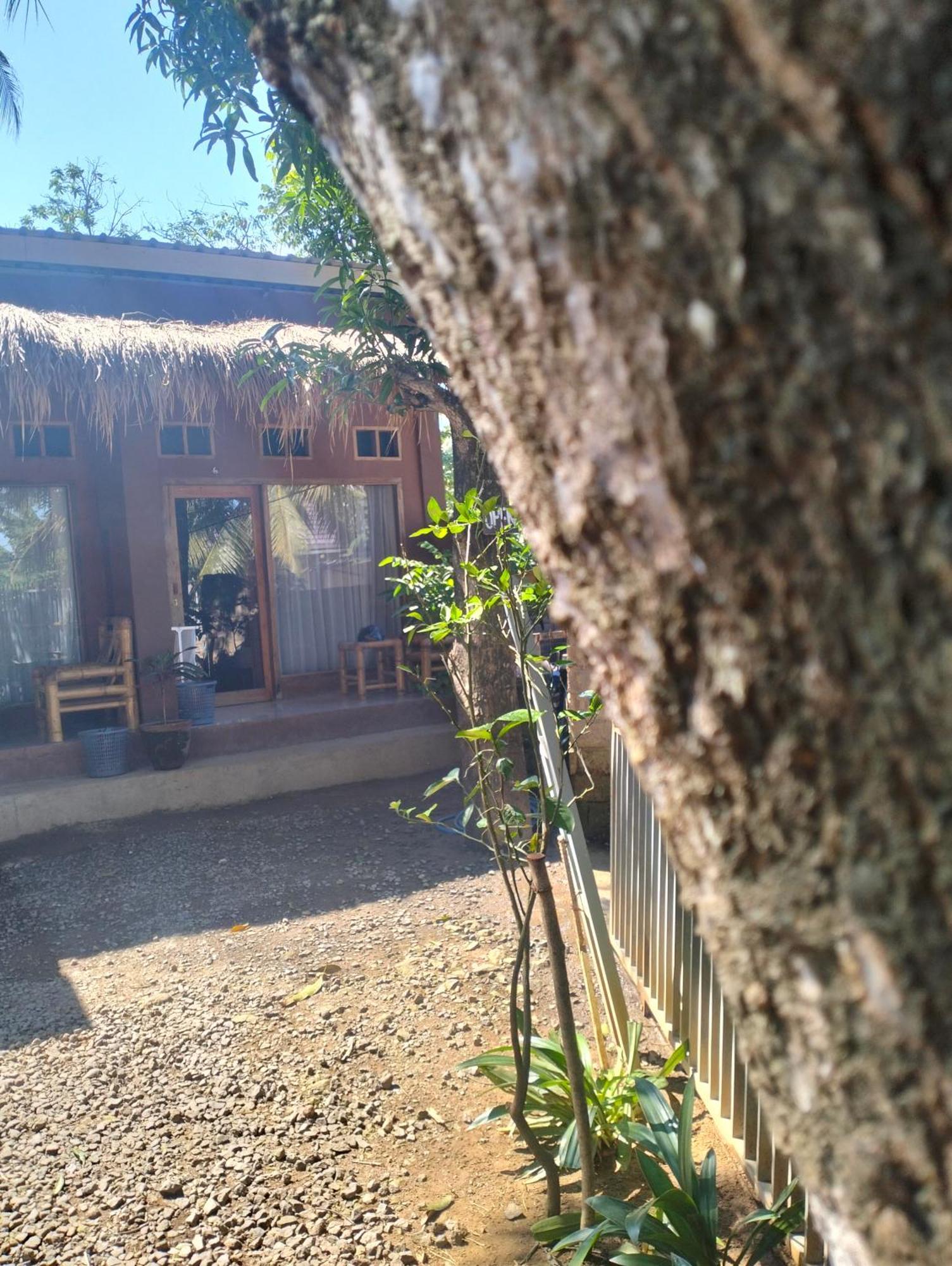 Fullmoon Homestay Kuta  Bagian luar foto