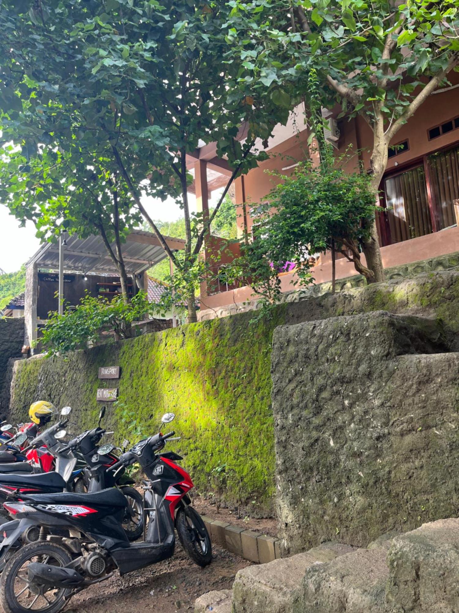 Fullmoon Homestay Kuta  Bagian luar foto